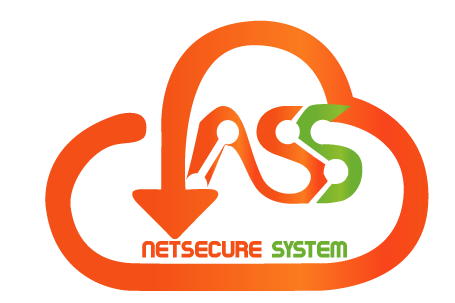 NETSECURE SYSTEM